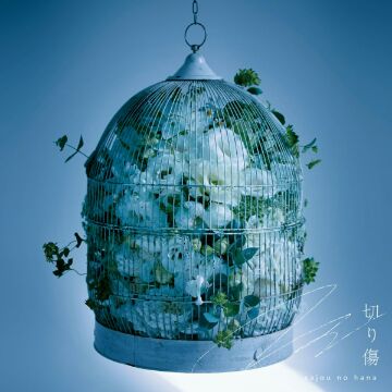 sajou no hana – Kirikizu [Single] DanMachi S4 Part2 ED